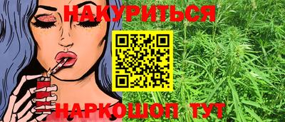 стафф Нальчик