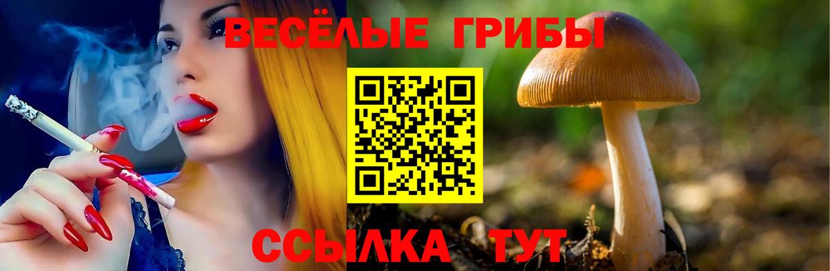 купить  сайты  Галлюциногенные грибы ЛСД  Вход с VPN  Усолье-Сибирское 